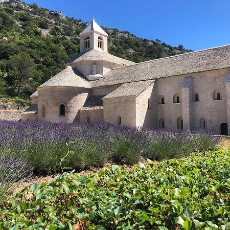 Villa La Petite Rive - Les Oliviers Velleron Esterno foto